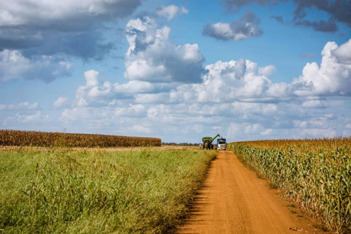 icagro_.jpg